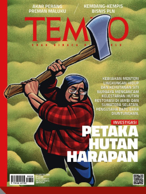 Image of TEMPO