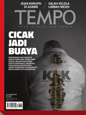 Image of TEMPO